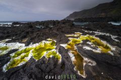 Cote rocheuse de l'Ile de Sao Miguel aux Açores