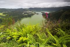 Lagoa Verde