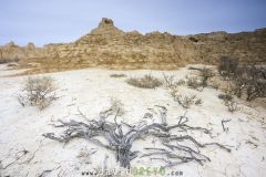 Désert des Bardenas Reales