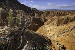 Désert des Bardenas Reales