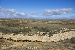 Désert des Bardenas Reales