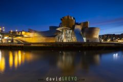 Musée Guggenheim de Bilbao de nuit au bord de la rivière Nervion