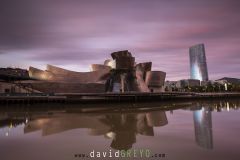 Musée Guggenheim de Bilbao au lever du jour au bord de la rivière Nervion