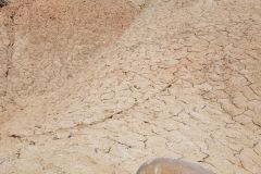 Désert des Bardenas ; Bardenas Desert