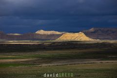 Désert des Bardenas ; Bardenas Desert