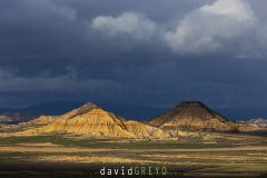 Désert des Bardenas ; Bardenas Desert