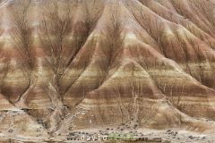 Désert des Bardenas ; Bardenas Desert