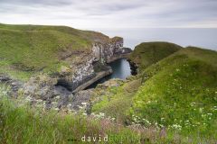 Falaises de Fowlsheugh