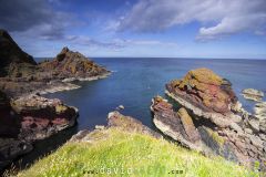 Falaises de la Réserve Naturelle de St Abbs Head