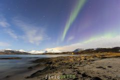 Aurore boréale au dessus de la mer en Norvège