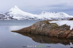 Boird de fjord norvégien