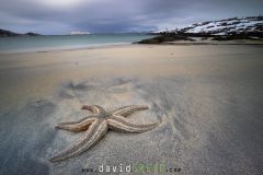 Plage sur la mer de Norvège ; Norwegian beach