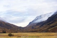 Arbre isolé dans la vallée de Glencoe en automne