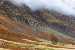 Arbre isolé dans la vallée de Glencoe en automne