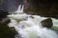 Tine de Conflens