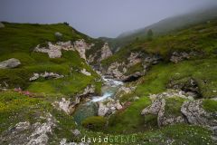 Col de Mont Cenis