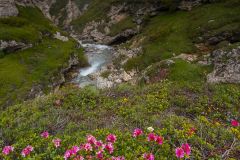 Col de Mont Cenis