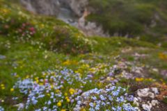 Col de Mont Cenis