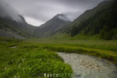 Vallon de l'Orgère