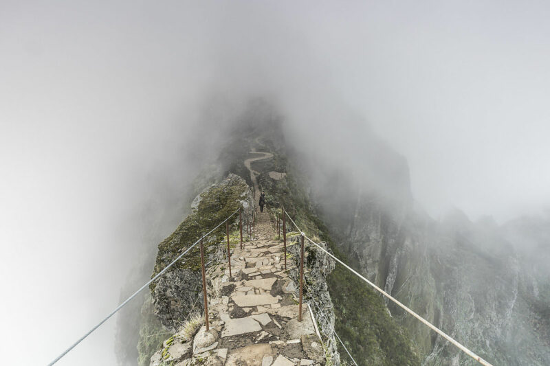 Les routes du Paradis